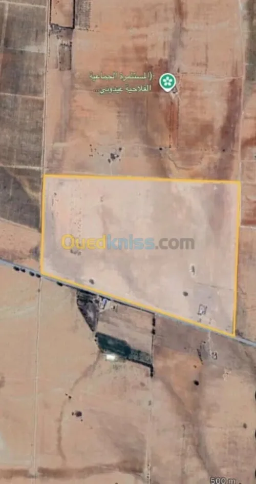 Vente Terrain Agricole Sidi Bel Abbès Telagh
