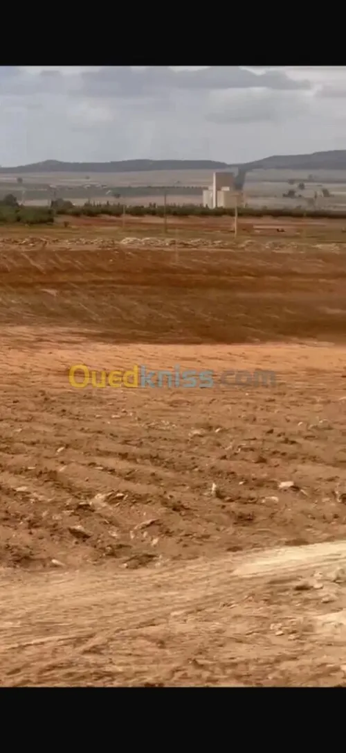 Vente Terrain Agricole Sidi Bel Abbès Telagh