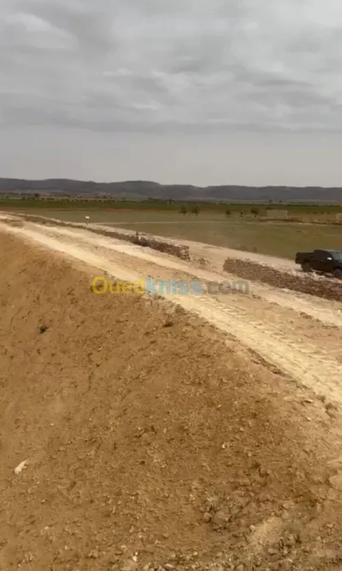 Vente Terrain Agricole Sidi Bel Abbès Telagh