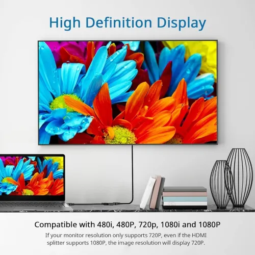 Splitter HDMI 4K UHD 1 Entrée vers 2 Sorties 30 cm