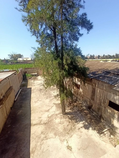 Vente Terrain Alger Ouled chebel