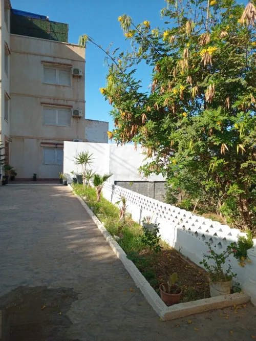 Location vacances Appartement F2 Alger Rais hamidou