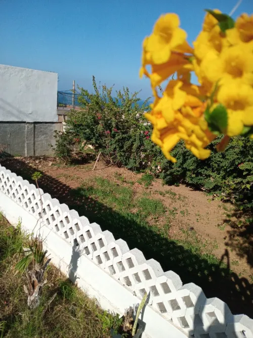 Location vacances Appartement F2 Alger Rais hamidou