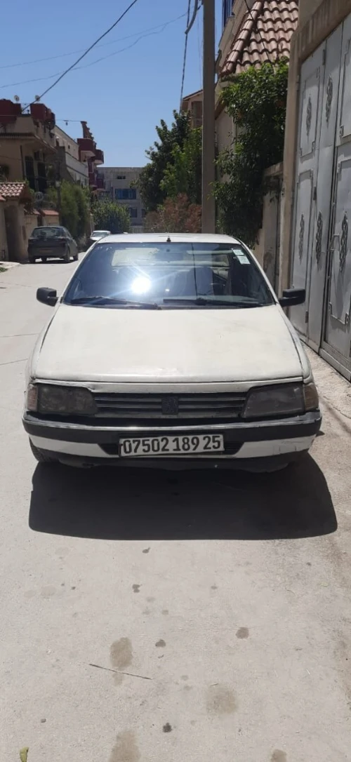 Peugeot 405 1989 
