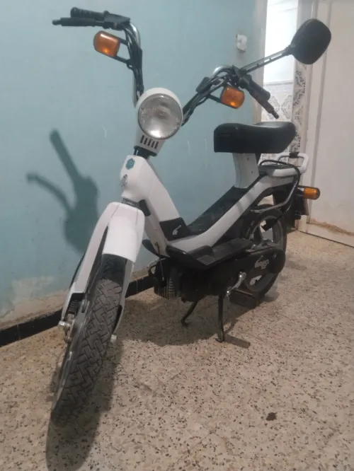Piaggio Piaggio 2024