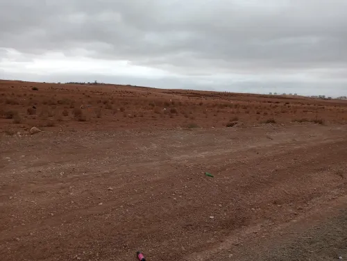 Vente Terrain Agricole Sidi Bel Abbès Amarnas