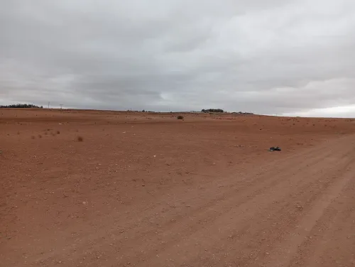 Vente Terrain Agricole Sidi Bel Abbès Amarnas