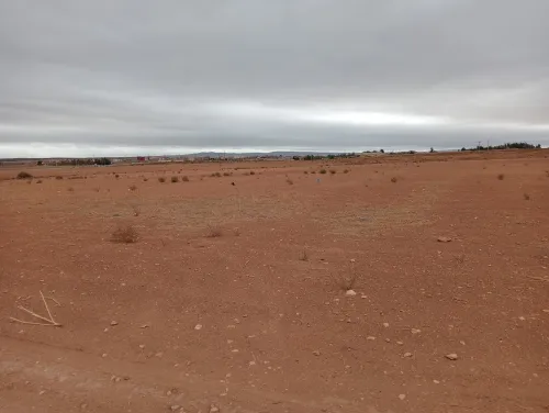 Vente Terrain Agricole Sidi Bel Abbès Amarnas