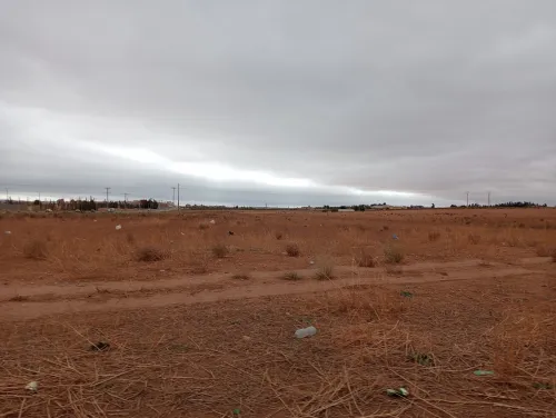 Vente Terrain Agricole Sidi Bel Abbès Amarnas