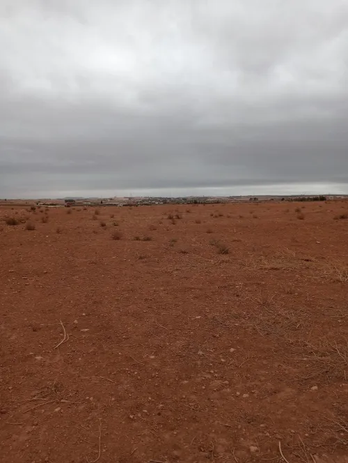 Vente Terrain Agricole Sidi Bel Abbès Amarnas
