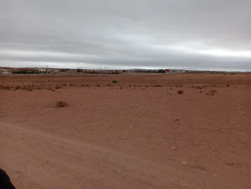 Vente Terrain Agricole Sidi Bel Abbès Amarnas