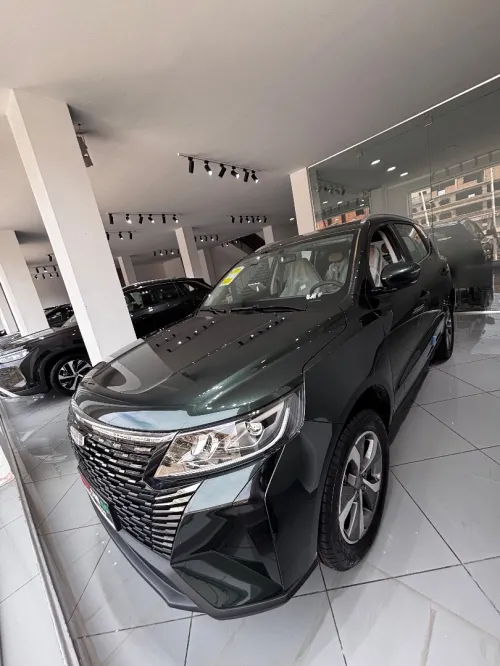 Geely Pro 2025 vert