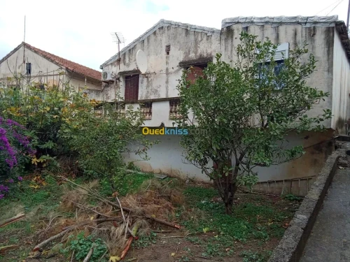 Vente Villa Alger Bouzareah