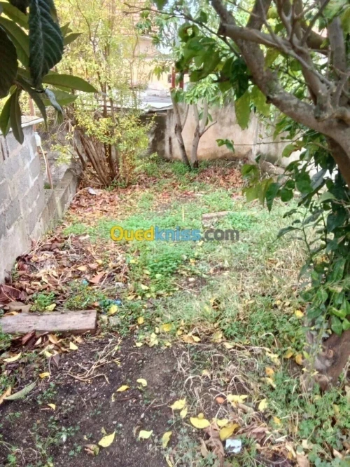 Vente Villa Alger Bouzareah
