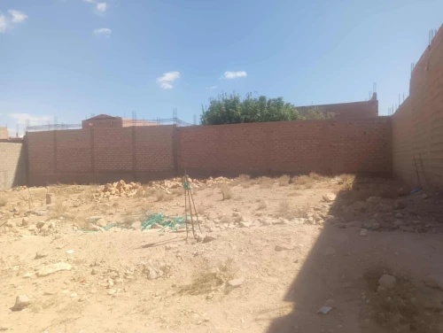 Vente Terrain Djelfa Messad