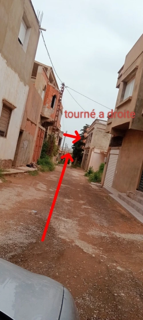 Vente Terrain Mostaganem Mostaganem