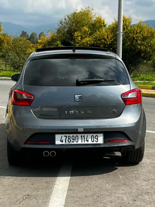 Seat Ibiza 2014 Edition 30