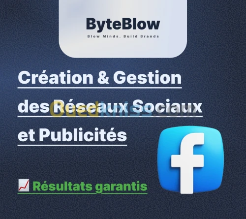 Gérer réseaux sociaux + publicité Facebook Instagram