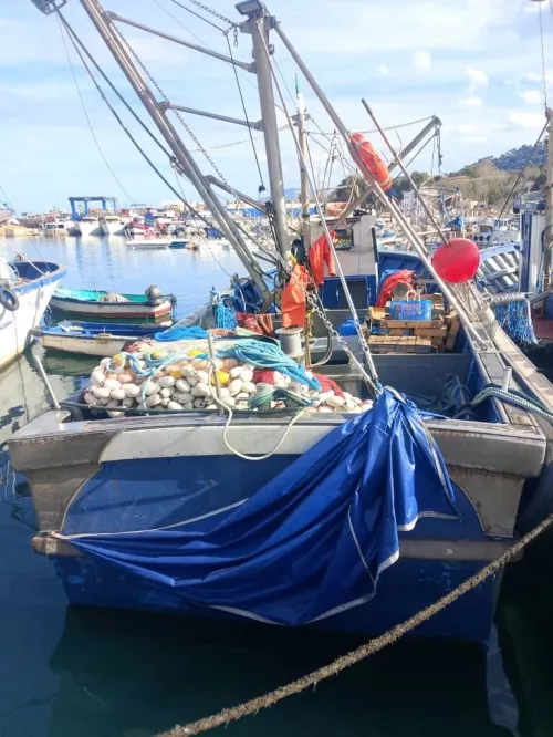 Bateaux sardinier en cours de marche