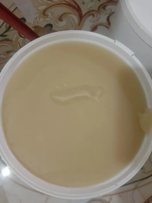 بسكرة 