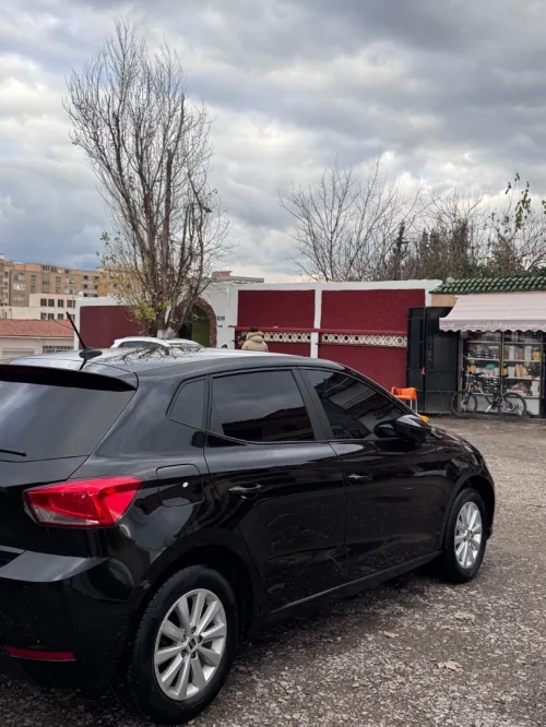 Seat Ibiza 2023 Style