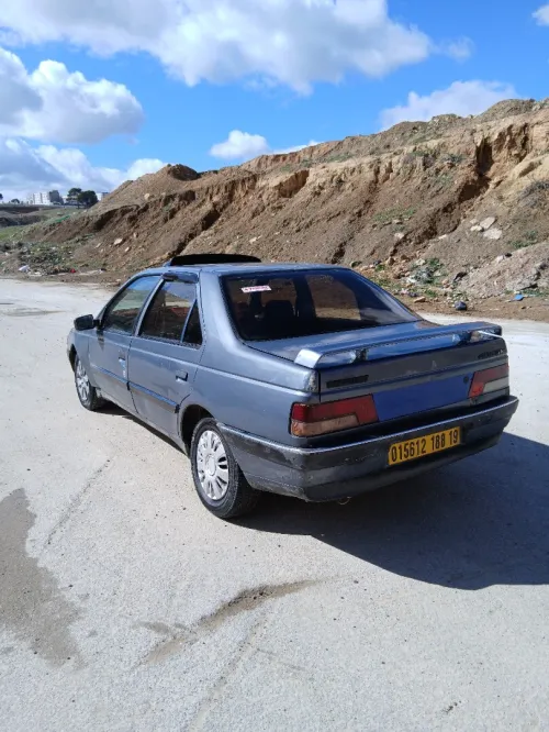 Peugeot 405 1988 405