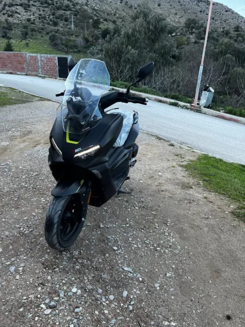 V max Vms 