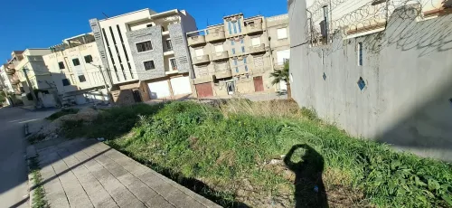Vente Terrain Constantine Constantine