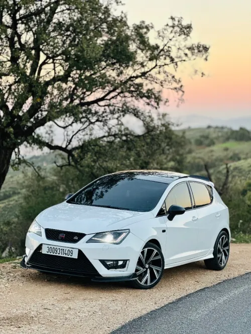 Seat Ibiza 2014 Ibiza