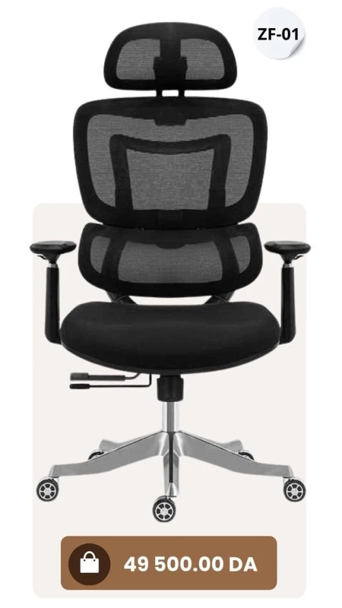 CHAISE ERGONOMIQUE 