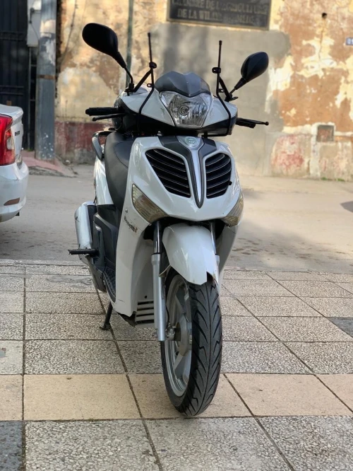 Benelli Logik Logik 2019