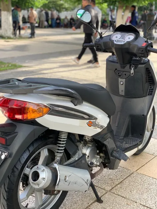 Benelli Logik Logik 2019