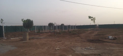 Vente Terrain Agricole Sidi Bel Abbès Hassi dahou