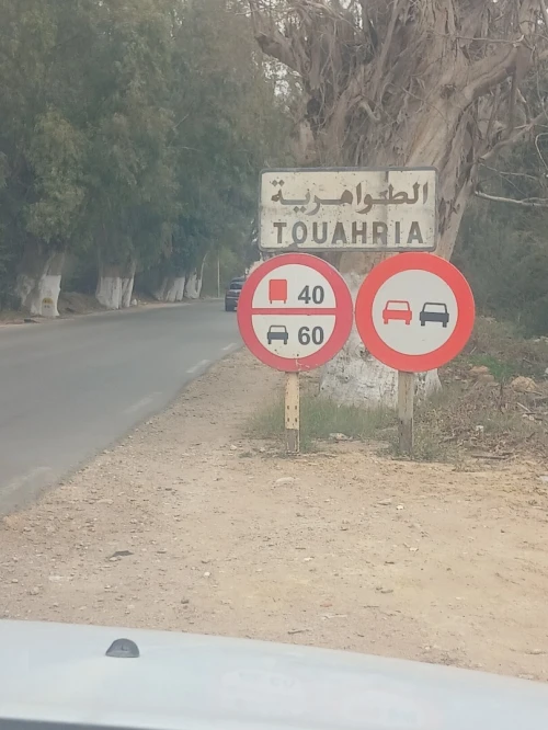 Vente Terrain Mostaganem Mesra