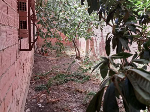Vente Villa Aïn Defla Hoceinia
