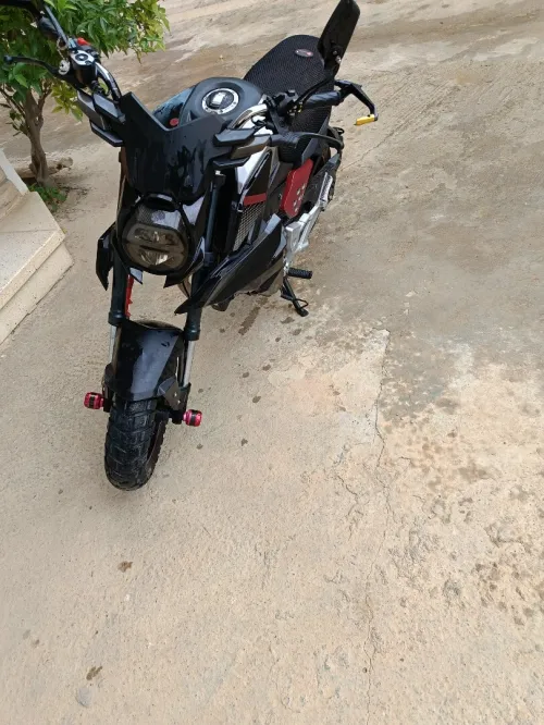 Tmmp CROSS 2022
