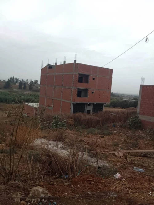 Vente Terrain Boumerdès Ouled moussa