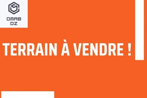 Vente Terrain Skikda El Hadaiek