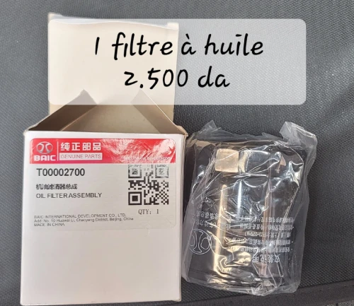 Pièces Baic Beijing X7