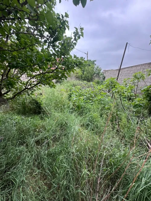 Vente Terrain Boumerdès Hammedi
