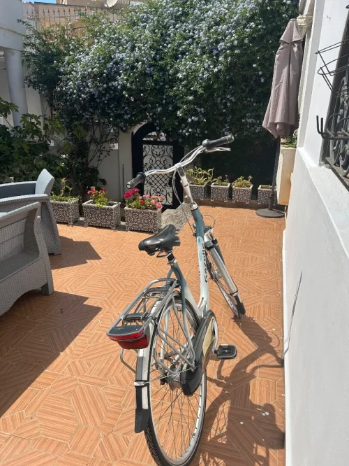 Velo Gazelle hollandais excellent Etat 