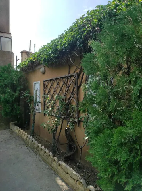Vente Villa Blida Blida