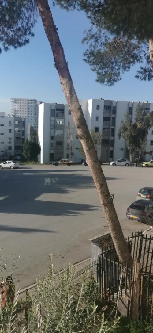 Location Appartement F4 Constantine Constantine