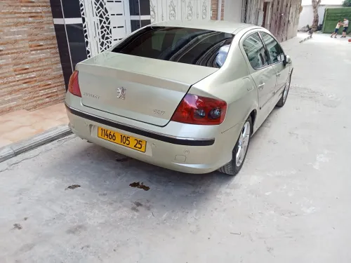 Peugeot 407 2005 