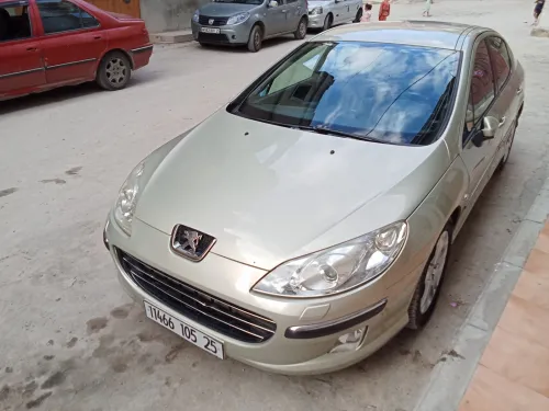 Peugeot 407 2005 
