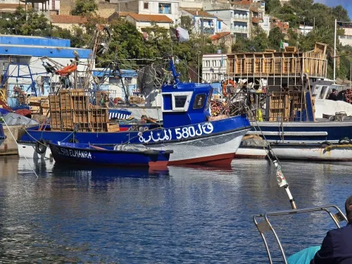 Sardinier 10m. 2009