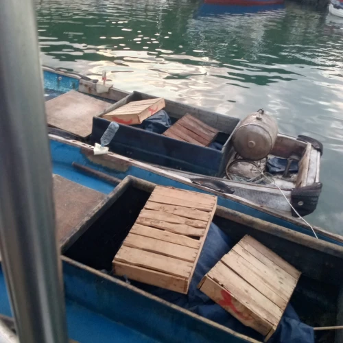 bateaux 