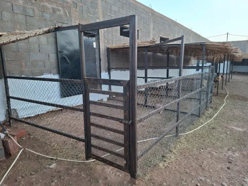 Vente Terrain Agricole Béchar Kenadsa