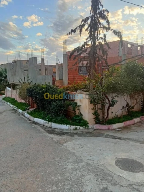 Vente Immeuble Tipaza Attatba
