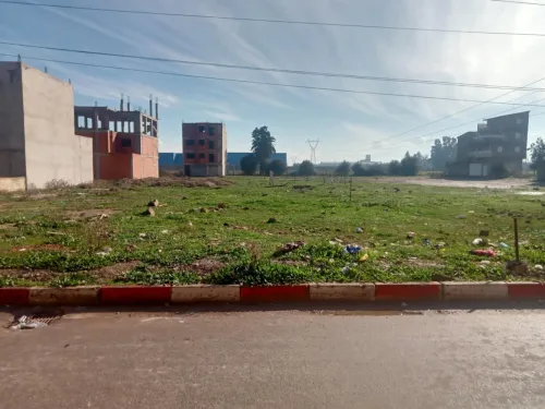 Vente Terrain Alger Tessala el merdja